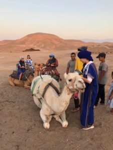 Half Day Camel Riding in Agafay Desert